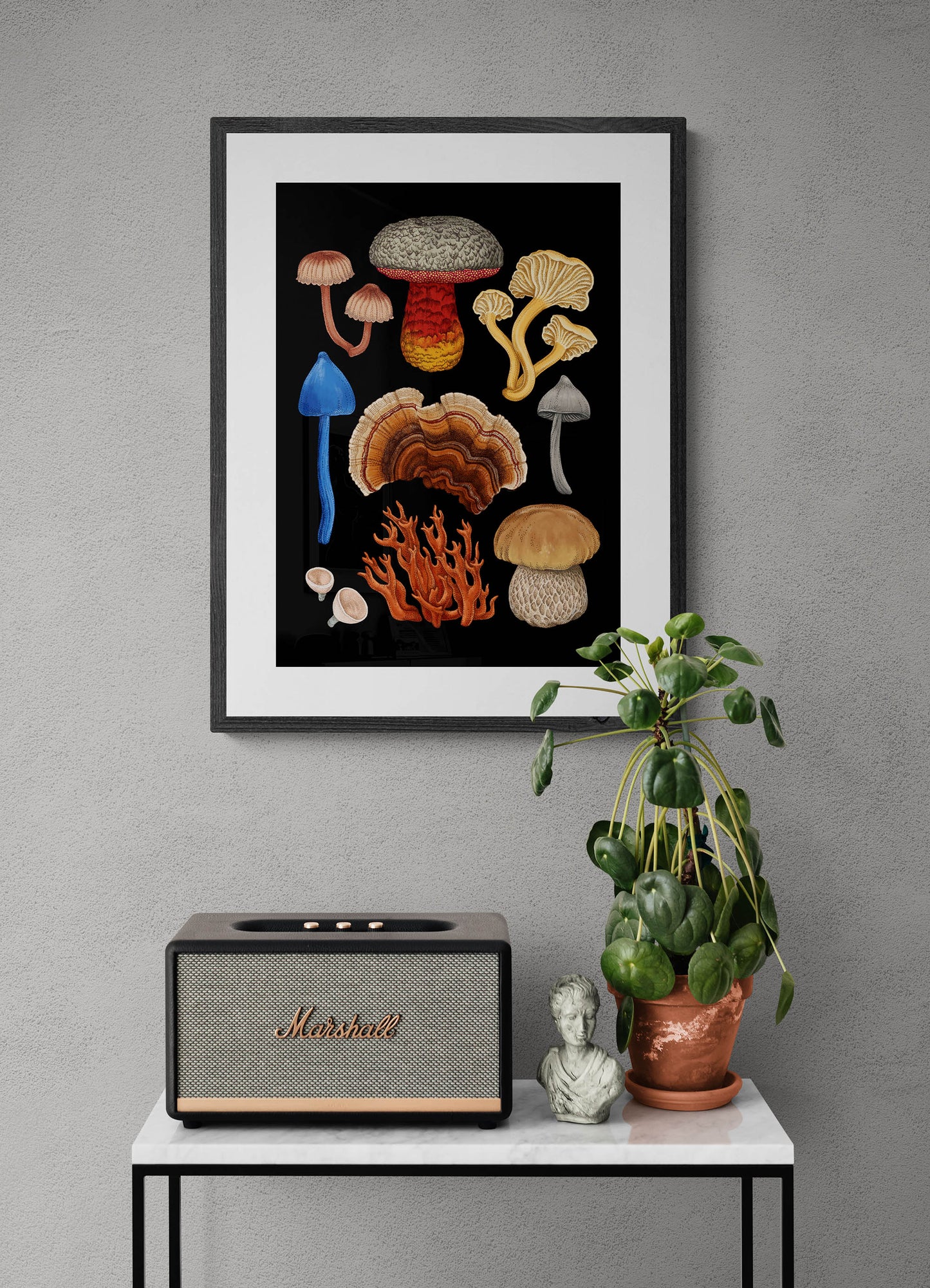 NEW ZEALAND FUNGI - ENTOLOMA