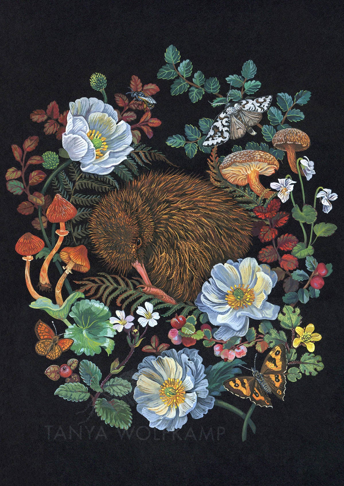 Gouache painting of a kiwi surrounded by alpine flowers and mushrooms on a black background, by artist Tanya Wolfkamp.