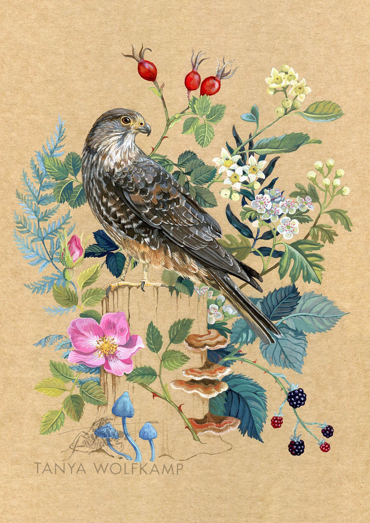 Gouache painting of a NZ falcon or karearea with roadside plants on natural kraft board, by Tanya Wolfkamp.