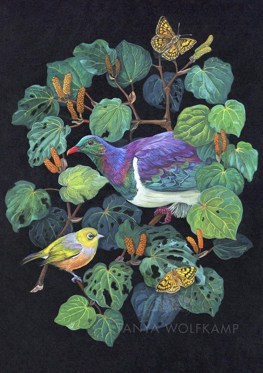 Gouache painting of a NZ wood pigeon or kereru and kawakawa on a dark background, by artist Tanya Wolfkamp