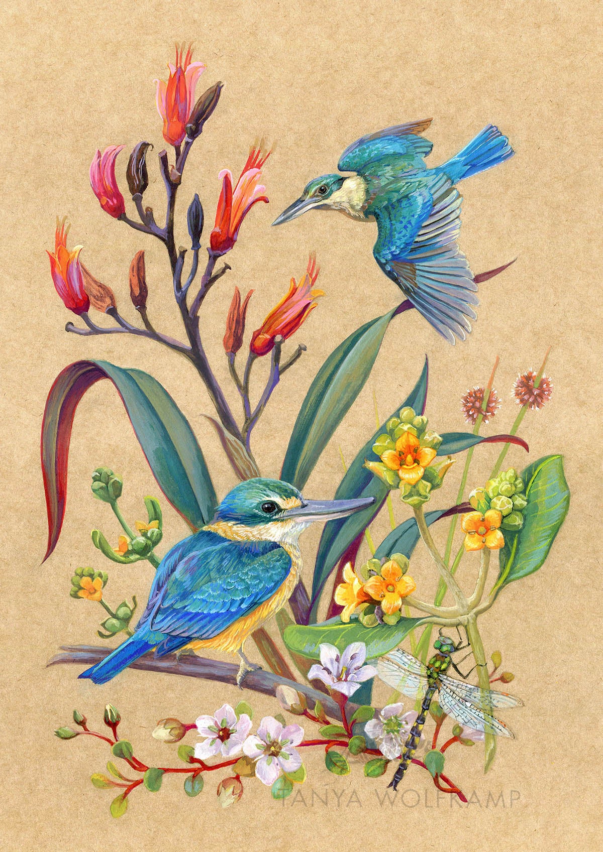 Gouache painting of a pair of kingfishers or kotare with saltmarsh plants on natural kraft board, by Tanya Wolfkamp.