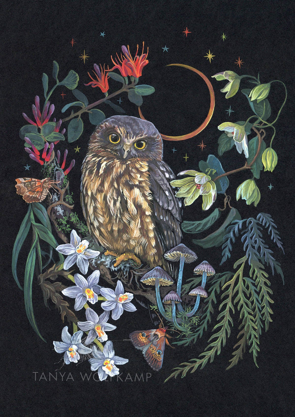 Gouache painting of a ruru or morepork owl surrounded by treetop flowers and epiphytes, by artist Tanya Wolfkamp.
