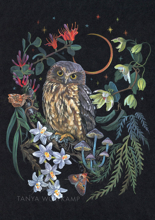 Gouache painting of a ruru or morepork owl surrounded by treetop flowers and epiphytes, by artist Tanya Wolfkamp.