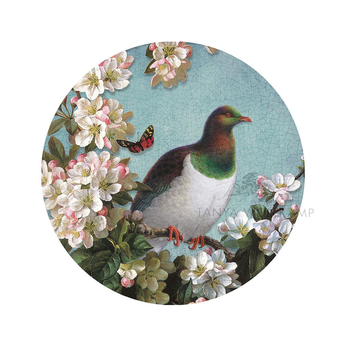Kereru and apple blossom, a NZ vintage decoupage by Tanya Wolfkamp