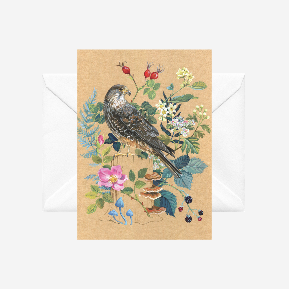 Greeting card with a NZ falcon or karearea by Tanya Wolfkamp. It comes with a white envelope.