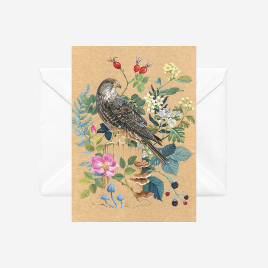 Greeting card with a NZ falcon or karearea by Tanya Wolfkamp. It comes with a white envelope.