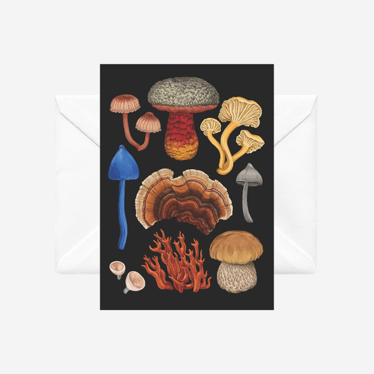 Card with illustrations of NZ fungi on a black background with a white envelope, by artist Tanya Wolfkamp