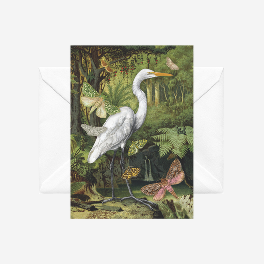 Greeting card with a kotuku heron in a forest scene, featuring butterflies and ferns, with a matching envelope.