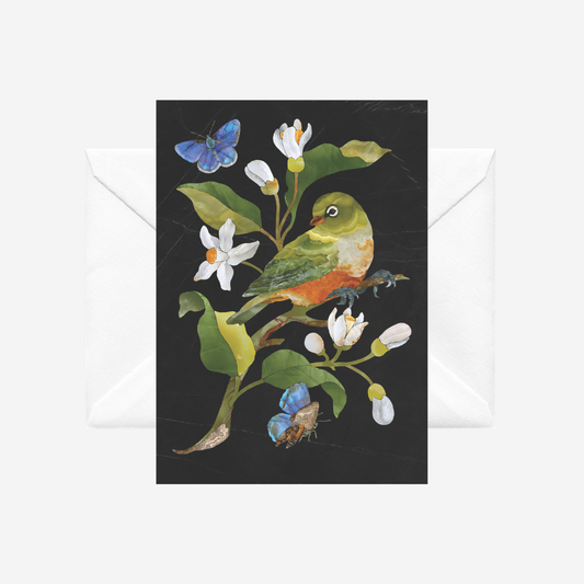Greeting card with a waxeye bird and NZ blue  butterflies in a pietra dura style by Tanya Wolfkamp. It comes with a white envelope.