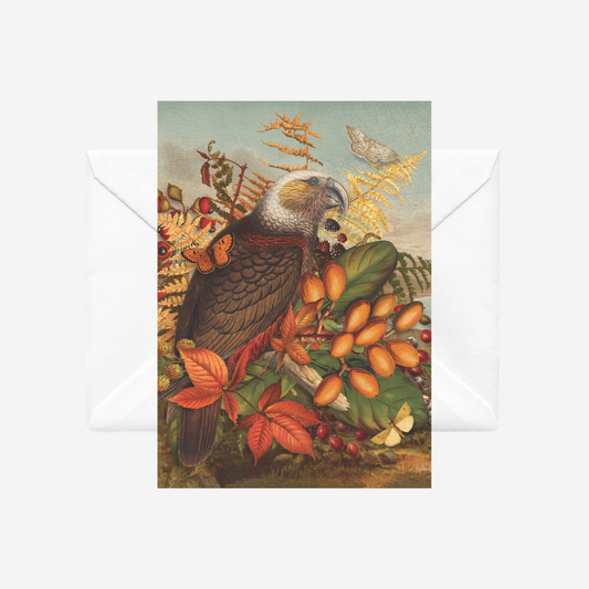 Card with vintage collage of NZ berries and kaka with a white envelope, by artist Tanya Wolfkamp