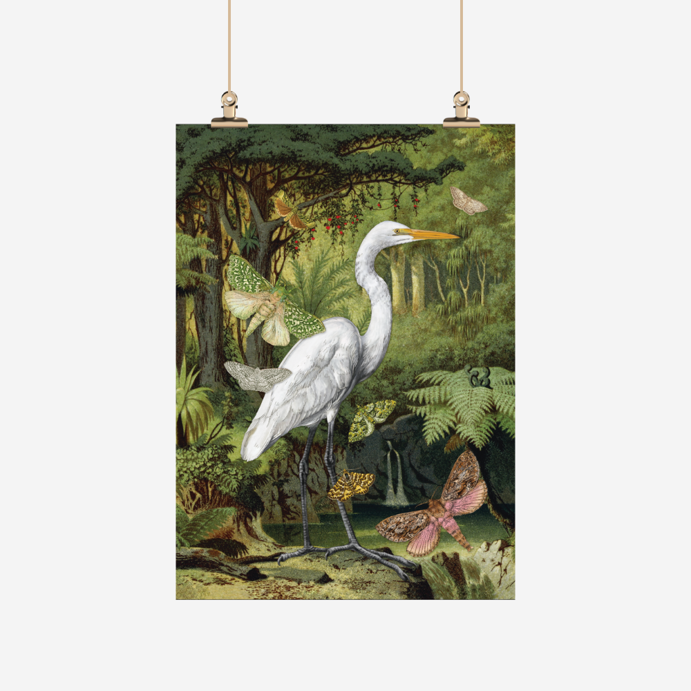 Teatowel with NZ white heron or kotuku, and moths by Tanya Wolfkamp