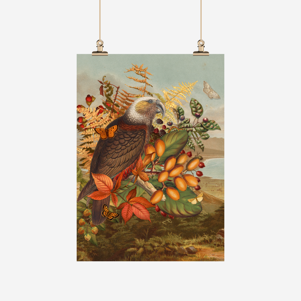 Teatowel with NZ berries, kaka and butterflies by Tanya Wolfkamp